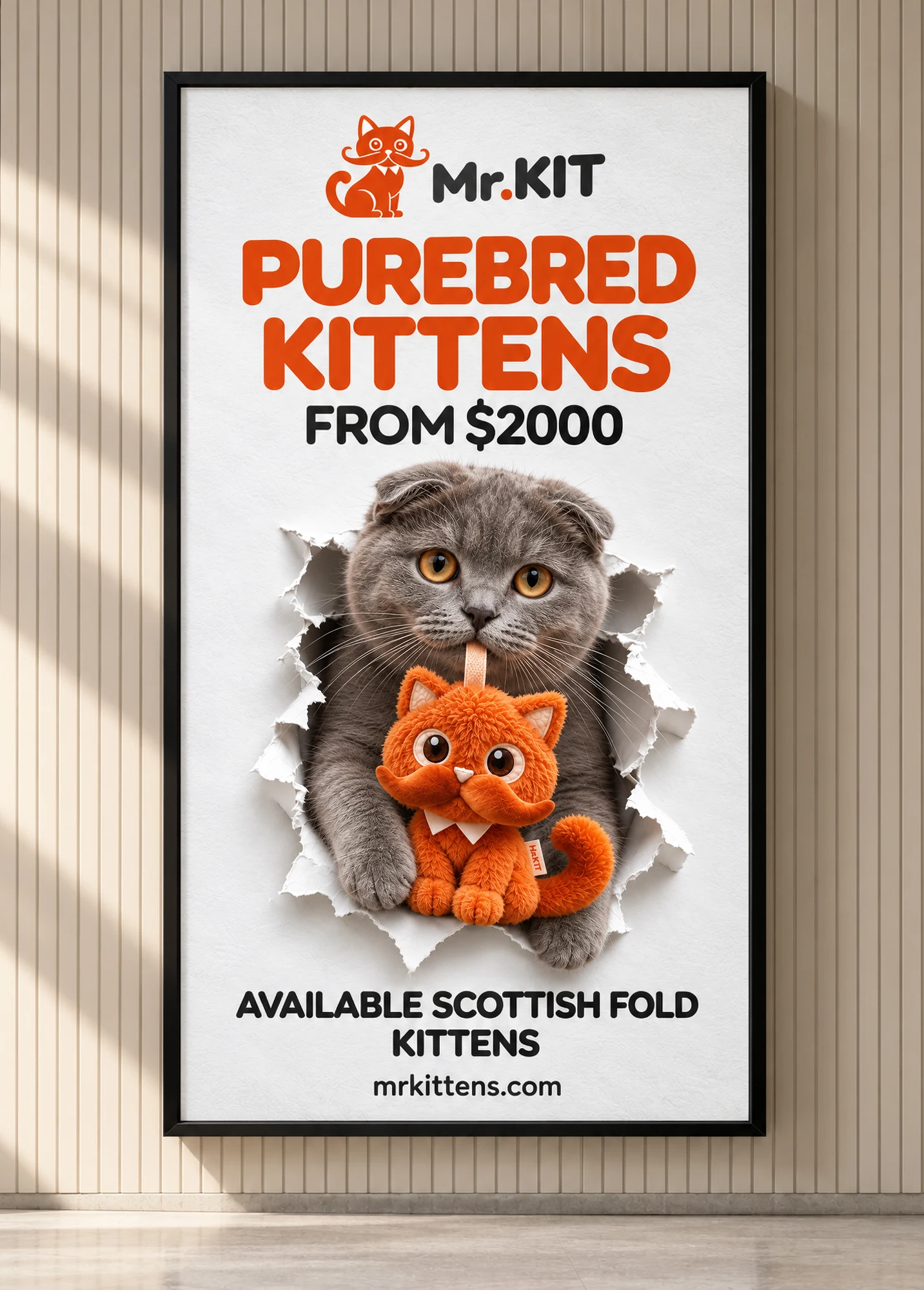 Mr.KIT — kitten store in the USA