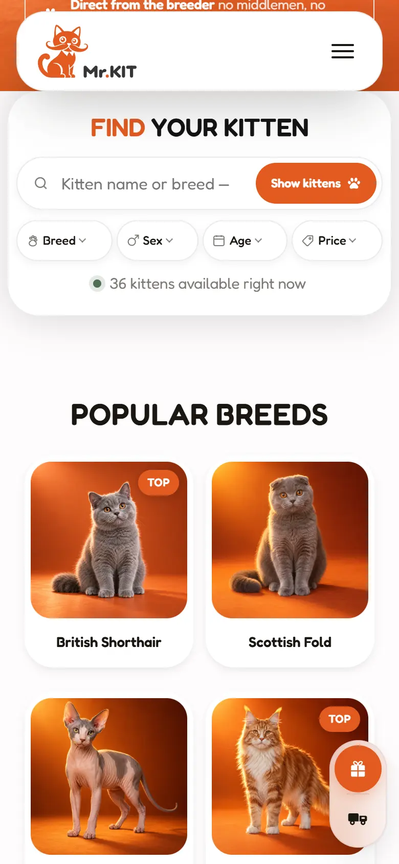 Поиск котёнка на телефоне