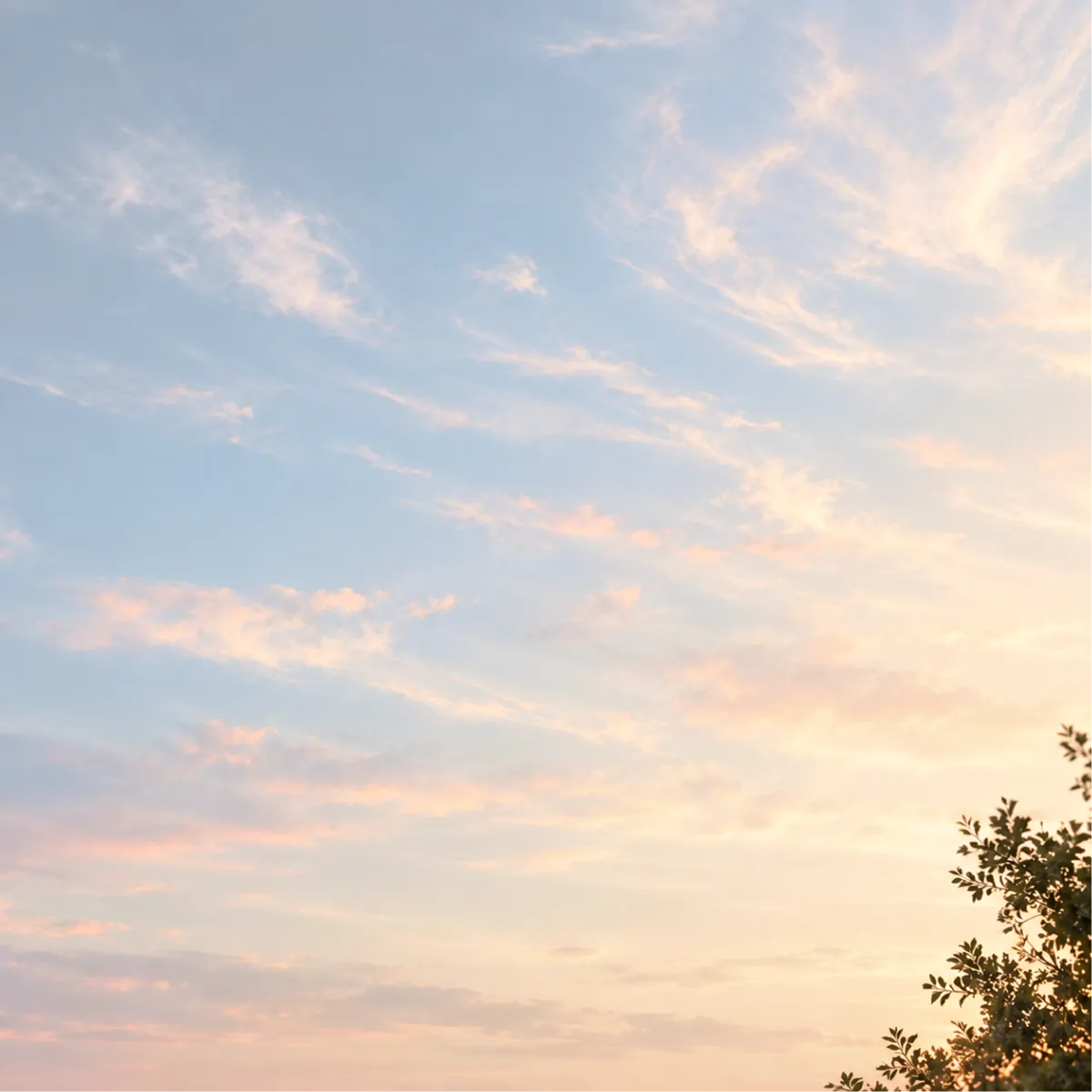 The sky above the cathedral